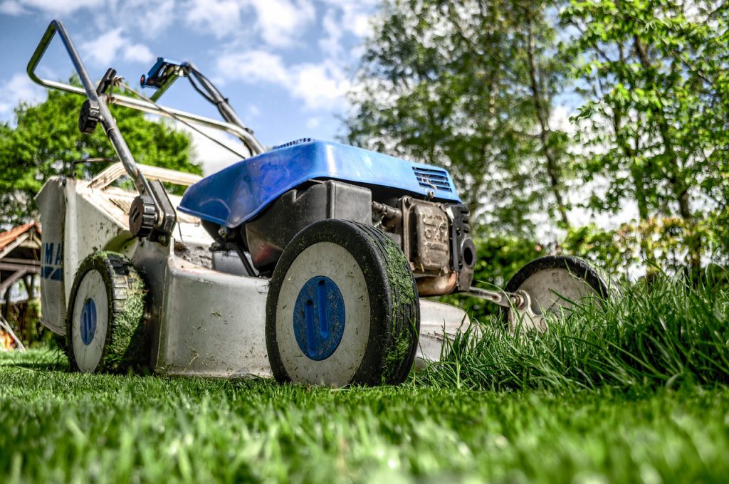 Tuintip najaar 2019