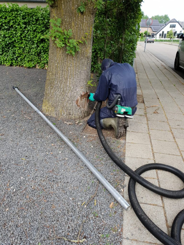 Tip: wij bestrijden nu ook de processierups