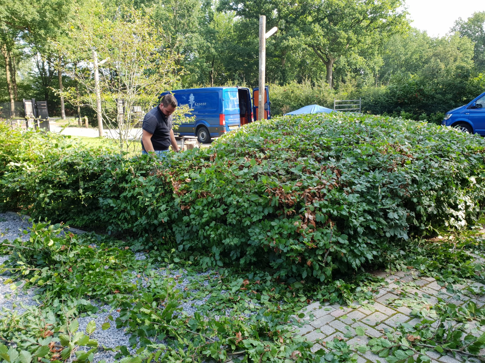 Onderhoud tuin Barneveld