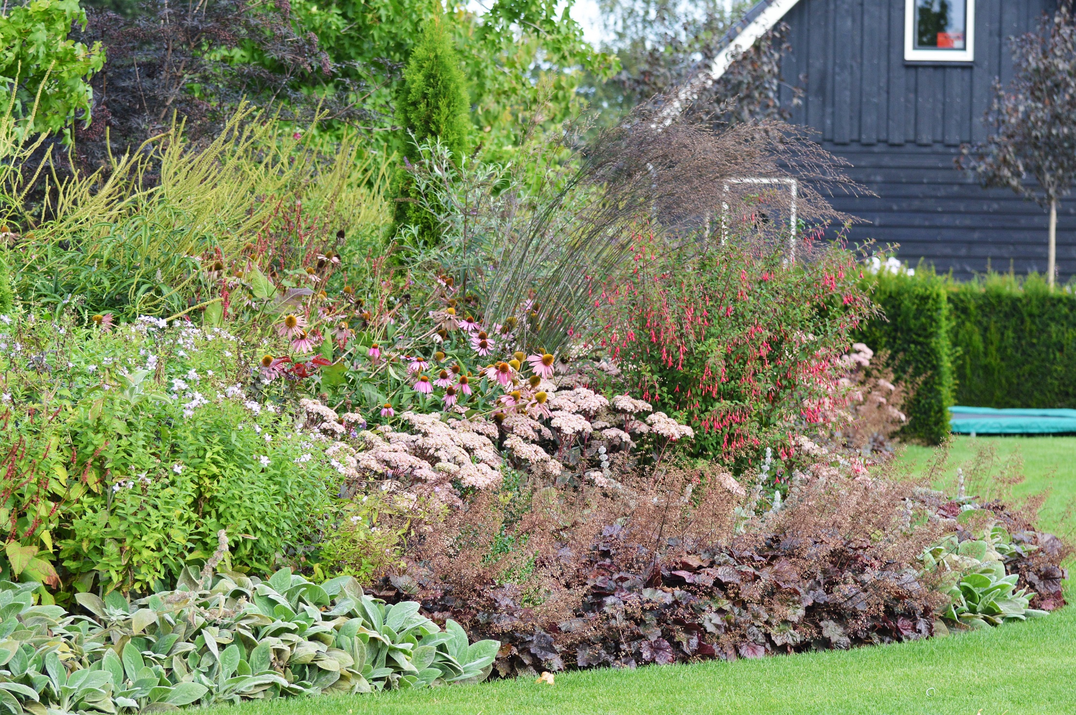 Border achtertuin