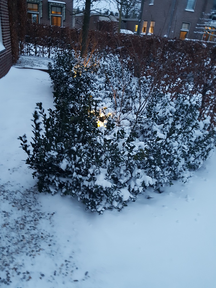 Tuin winterklaar maken