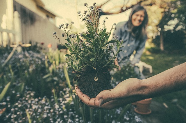 Tuintips voor mei