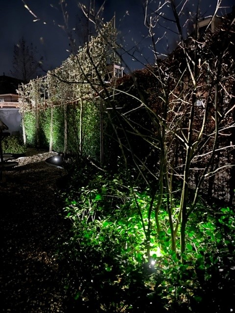 Lichtplan maken voor de tuin