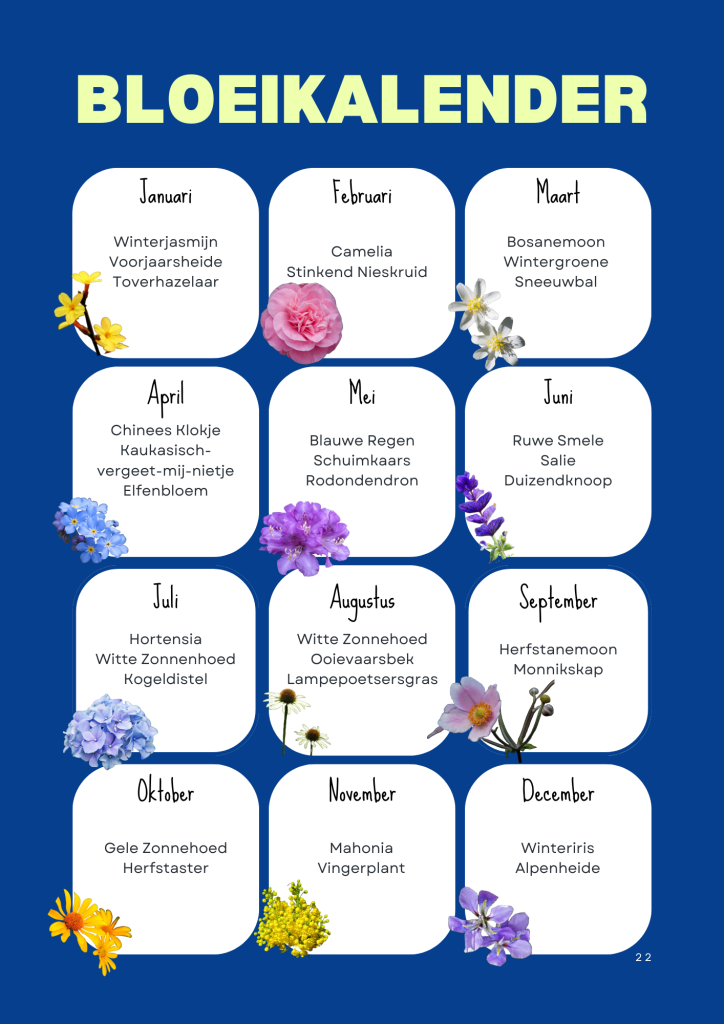 Bloeikalender